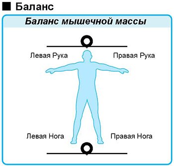6.jpg 6.jpg