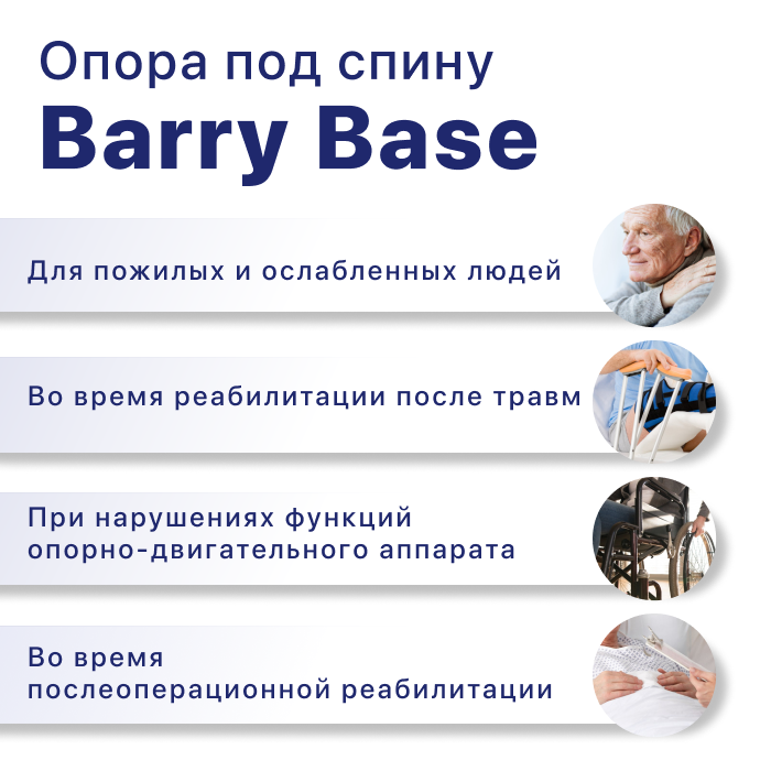 Регулируемая опора под спину (подголовник) Barry Base