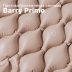Противопролежневая система Barry Primo