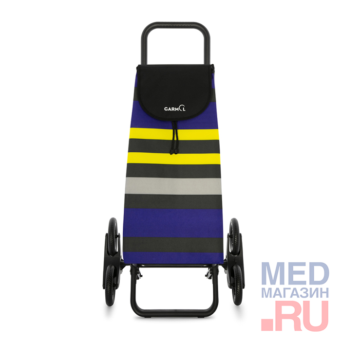 

Тележка с сумкой RAYAS шасси 3х3 (218G3х3 RAYAS)