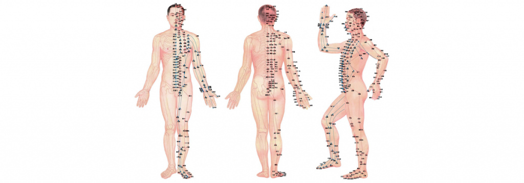 Биологически-активные точки на теле человека