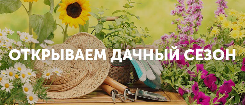 новость.jpg новость.jpg