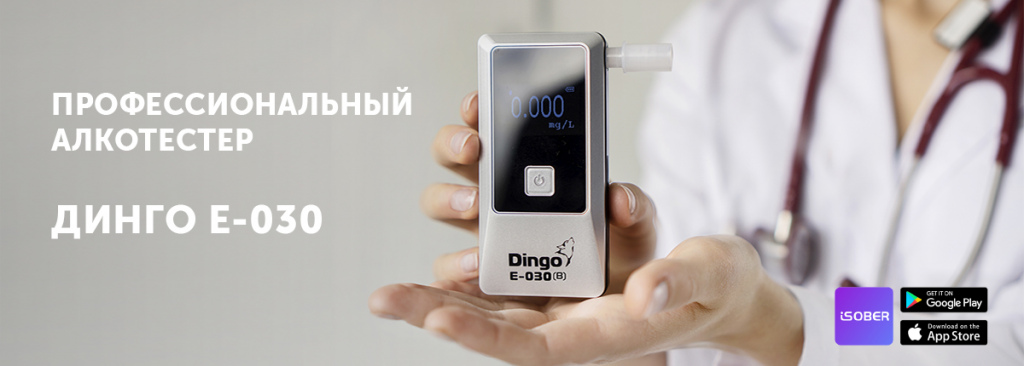 Динго E-030 шаблон для сайта ММ_2.jpg