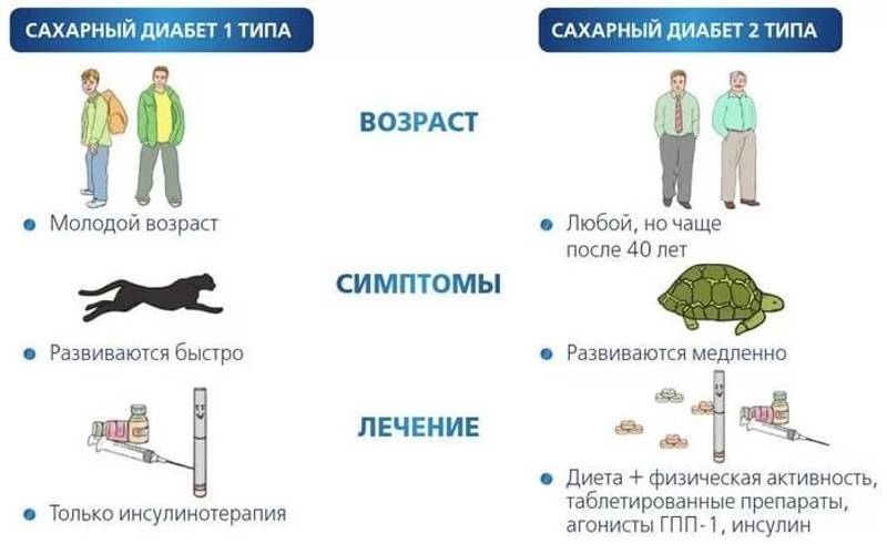 Чем отличаются глюкометры акку чек актив и перформа. Смотреть фото Чем отличаются глюкометры акку чек актив и перформа. Смотреть картинку Чем отличаются глюкометры акку чек актив и перформа. Картинка про Чем отличаются глюкометры акку чек актив и перформа. Фото Чем отличаются глюкометры акку чек актив и перформа